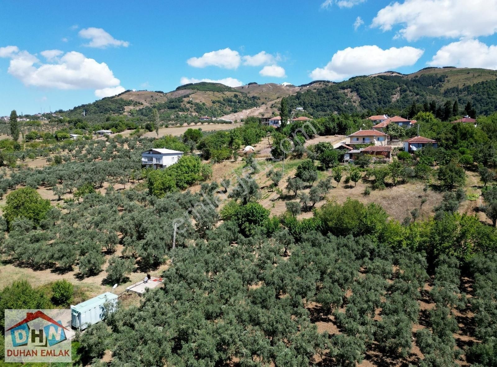 Duhan Emlak'tan Orhangazi Ortaköy'de 11.602m2 Bakımlı Zeytinlik - Görsel 4