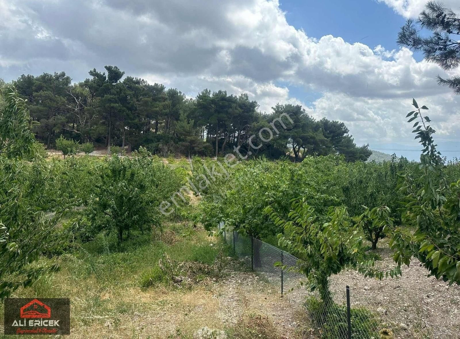 Bornova Yaka Da Tapulu Mükemmel Konumda Bahçe - Görsel 4