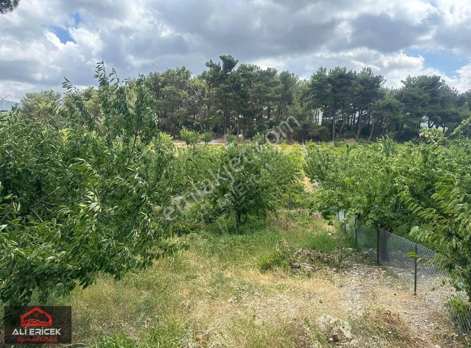 Bornova Yaka Da Tapulu Mükemmel Konumda Bahçe - Görsel 6