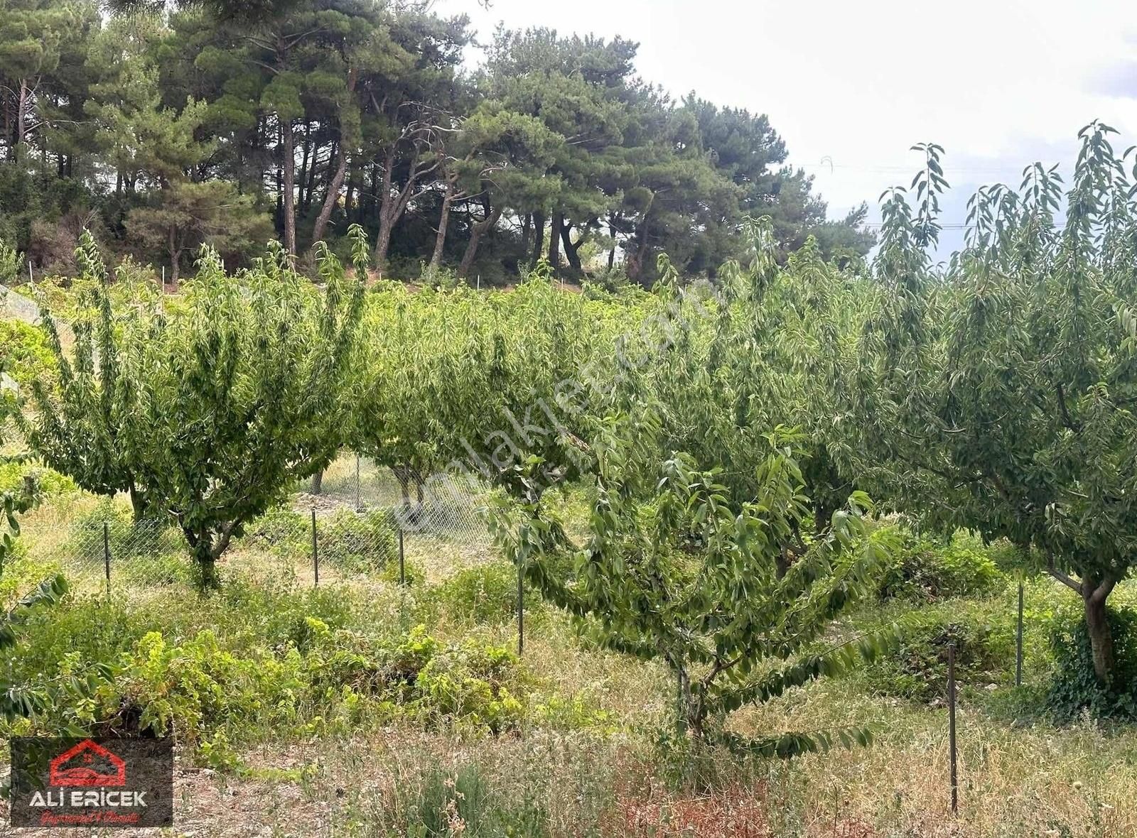 Bornova Yaka Da Tapulu Mükemmel Konumda Bahçe - Görsel 5