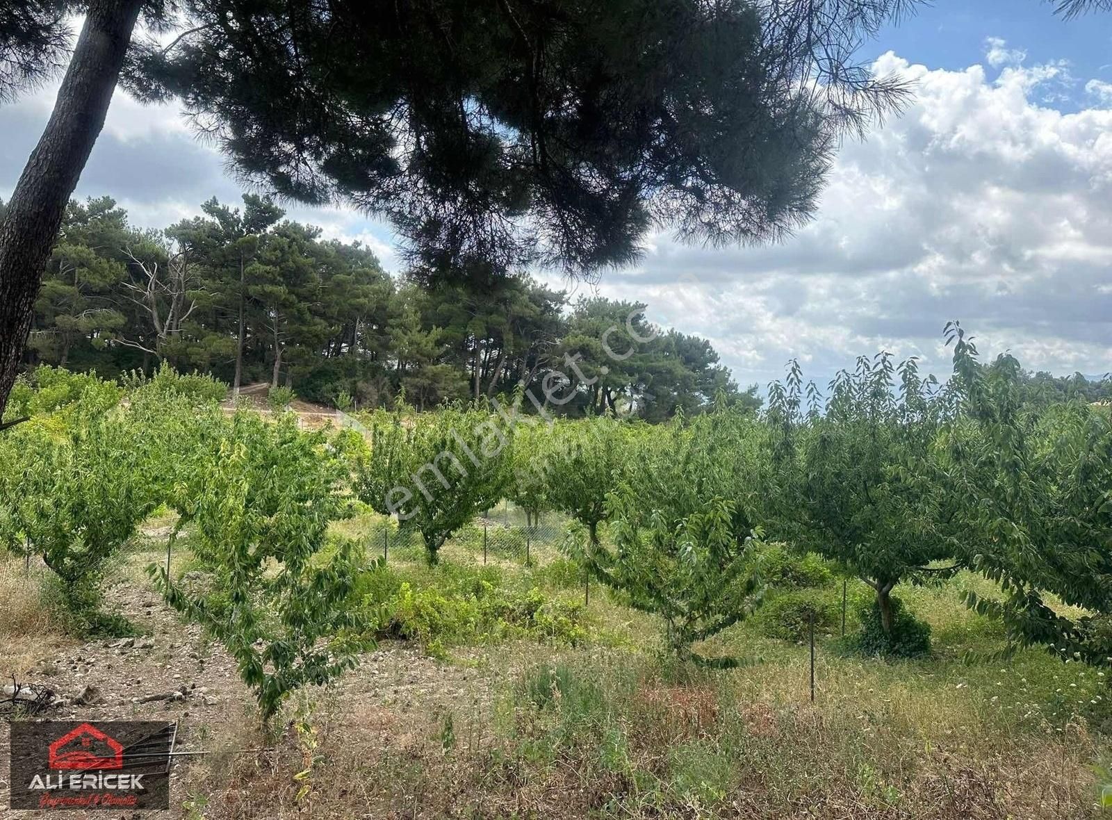 Bornova Yaka Da Tapulu Mükemmel Konumda Bahçe - Görsel 3