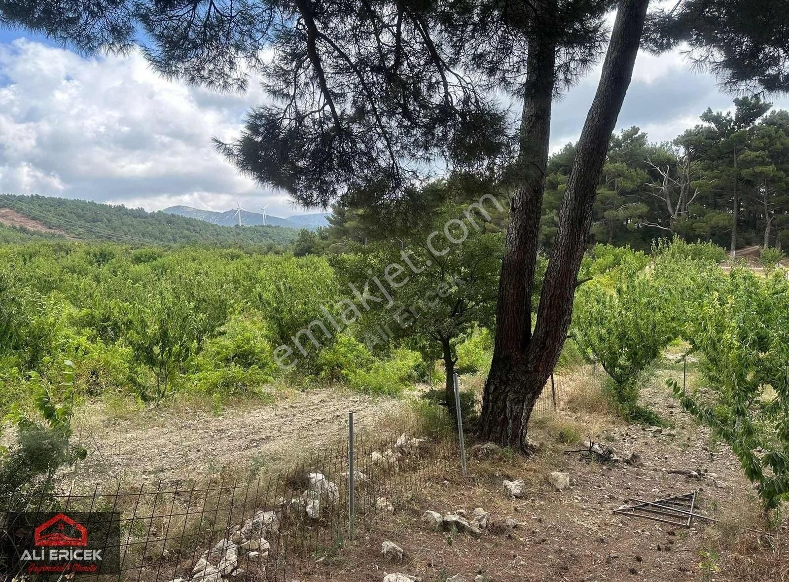 Bornova Yaka Da Tapulu Mükemmel Konumda Bahçe - Görsel 7