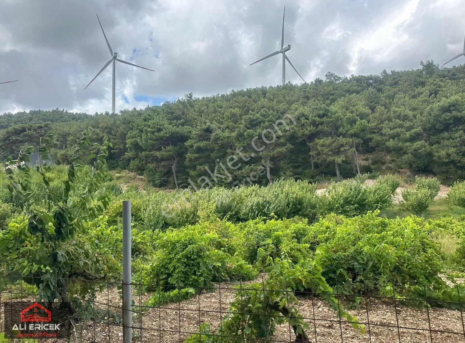 Bornova Yaka Da Tapulu Mükemmel Konumda Bahçe - Görsel 2