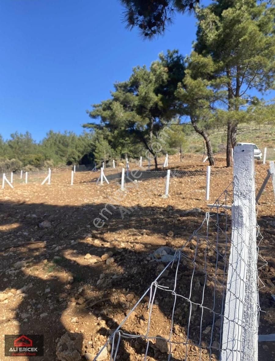 Kemalpaşa Damlacık"ta Elektrik Mevcut Manzaralı Bahçe - Görsel 12