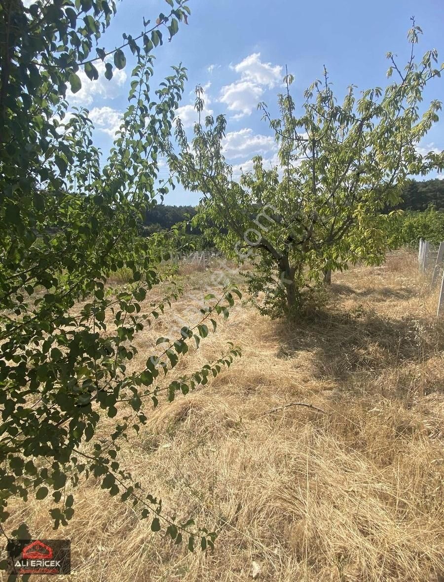 Favori Mevkide Kolay Ulaşıma Sahip Nezih Komşuları Olan Bahçe - Görsel 10