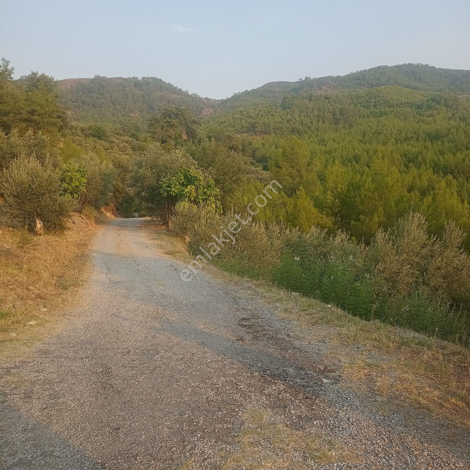 Muğla Dalaman Karacaağaç Satılık Köy Yerleşim İçi Tarla - Görsel 8