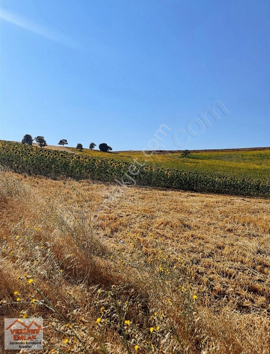 Vezirev Emlak'tan Adatepe Barjına Yakın 15.300 M2 Tarla