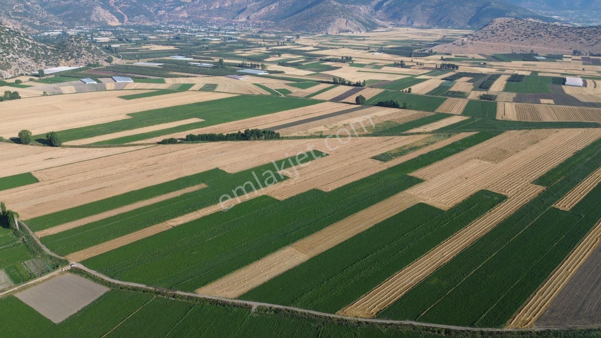 Vip Gayrimenkul'den Mursal Mah. Yol Cepheli 25.100m² Tarla - Görsel 9