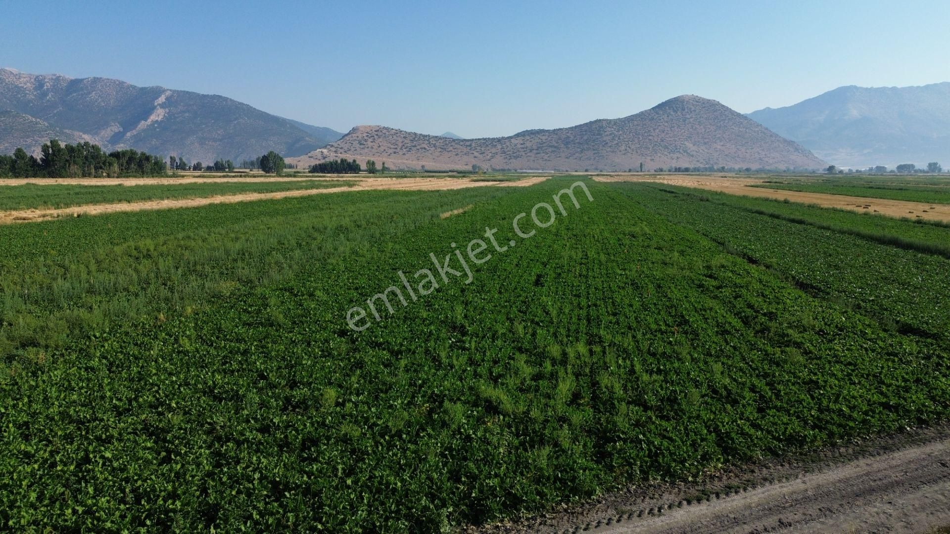 Vip Gayrimenkul'den Mursal Mah. Yol Cepheli 25.100m² Tarla - Görsel 23