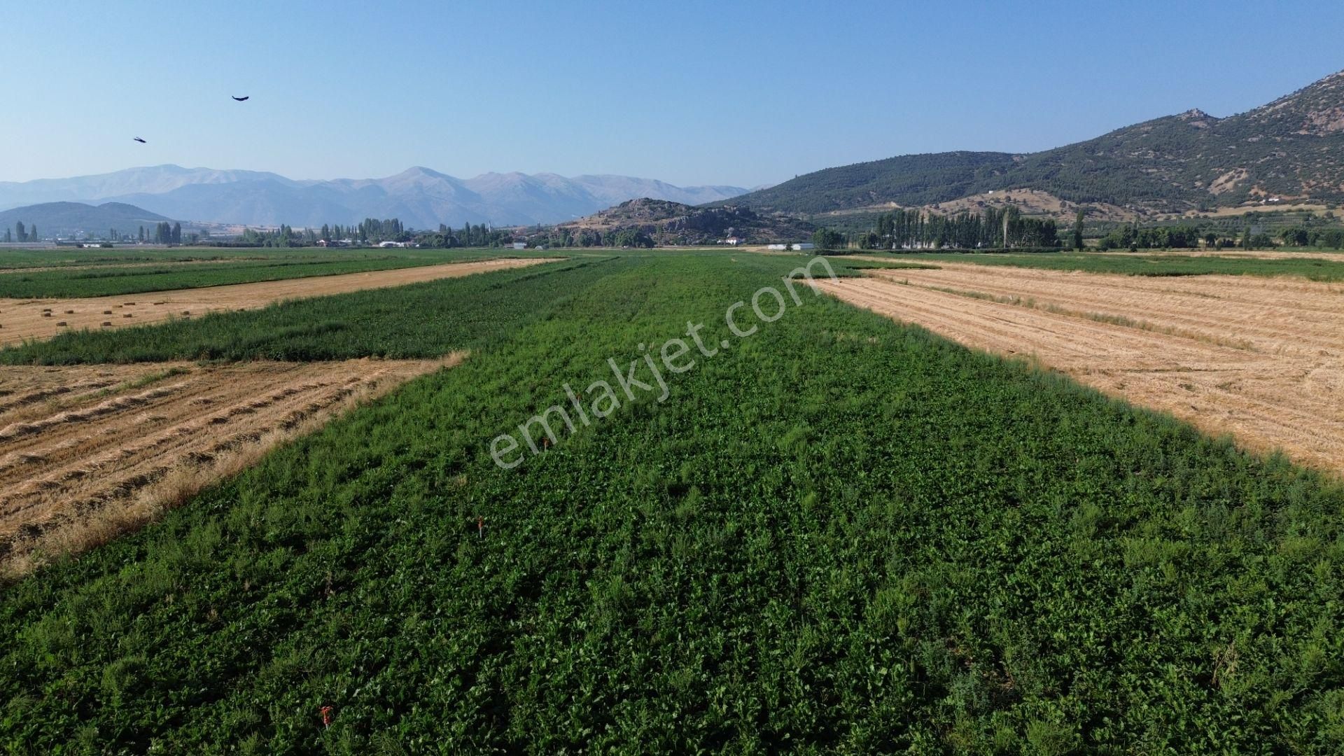 Vip Gayrimenkul'den Mursal Mah. Yol Cepheli 25.100m² Tarla - Görsel 21