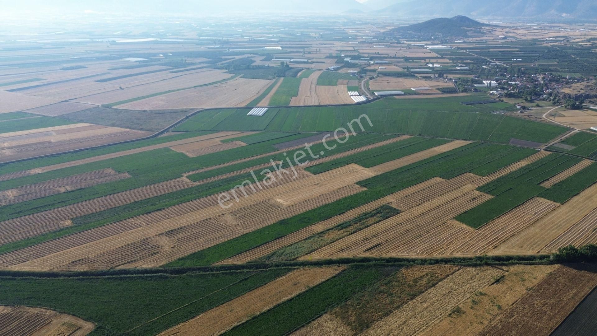 Vip Gayrimenkul'den Mursal Mah. Yol Cepheli 25.100m² Tarla - Görsel 15