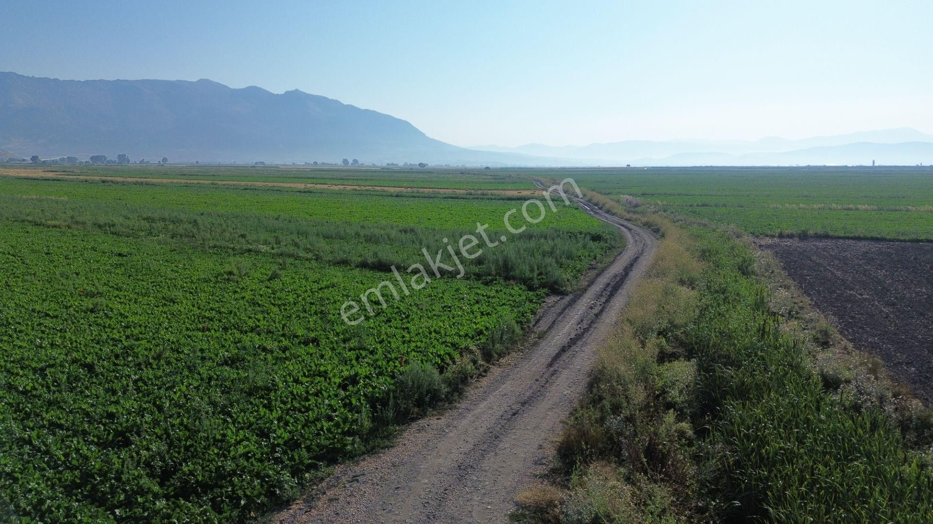 Vip Gayrimenkul'den Mursal Mah. Yol Cepheli 25.100m² Tarla - Görsel 25