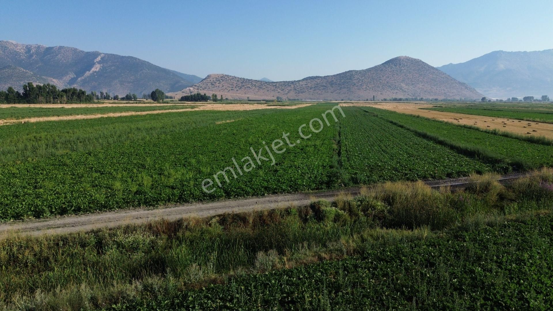 Vip Gayrimenkul'den Mursal Mah. Yol Cepheli 25.100m² Tarla - Görsel 22
