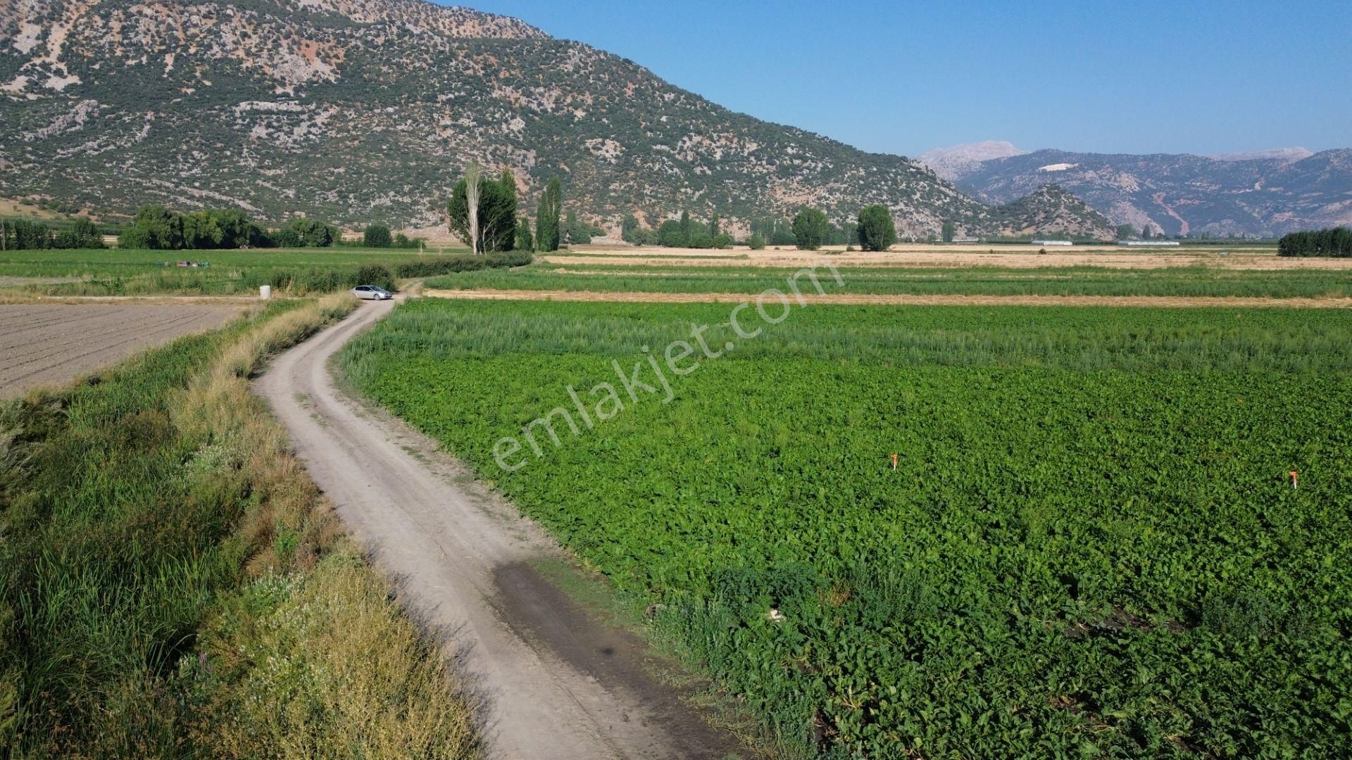 Vip Gayrimenkul'den Mursal Mah. Yol Cepheli 25.100m² Tarla - Görsel 24