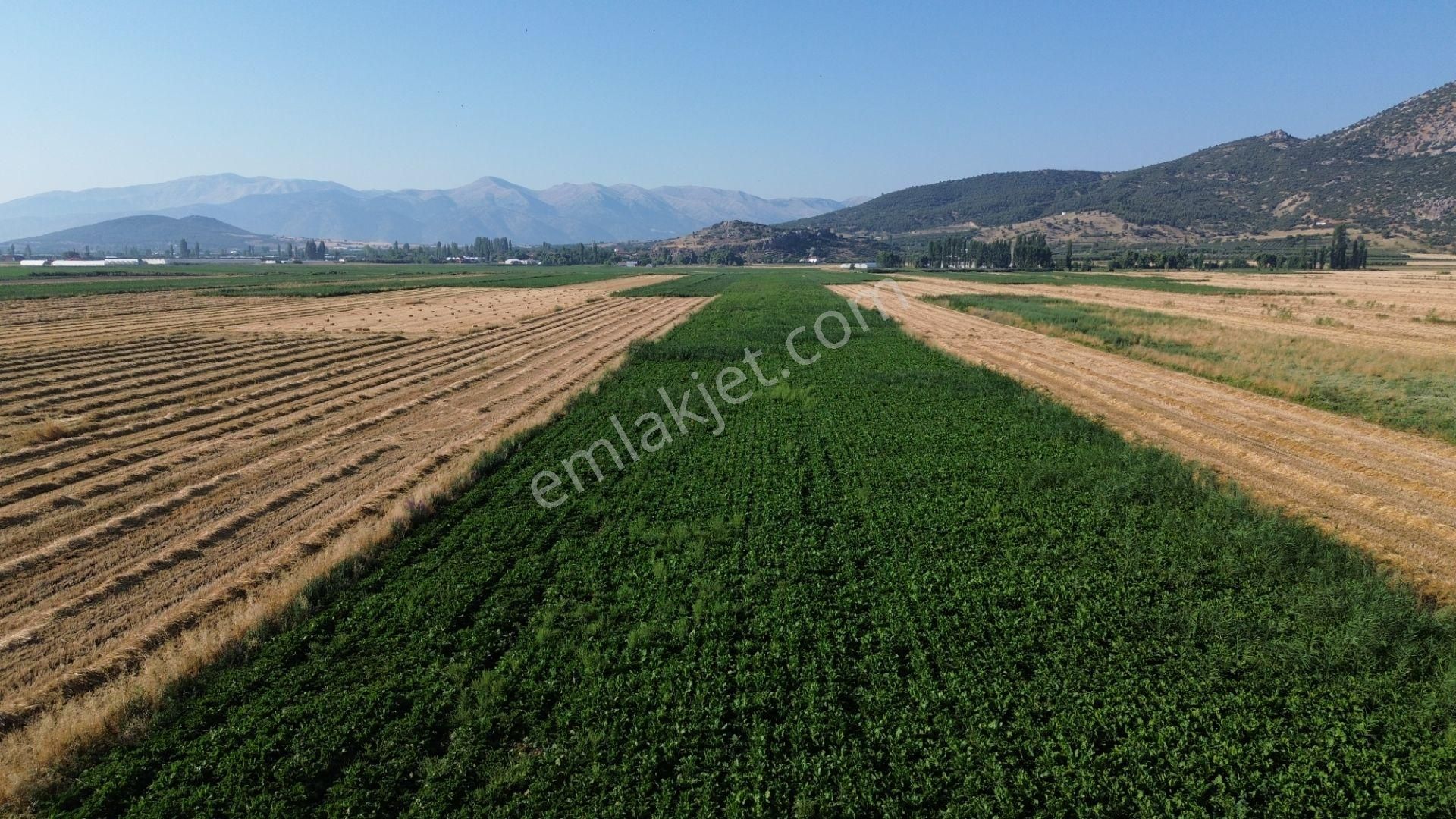 Vip Gayrimenkul'den Mursal Mah. Yol Cepheli 25.100m² Tarla - Görsel 20