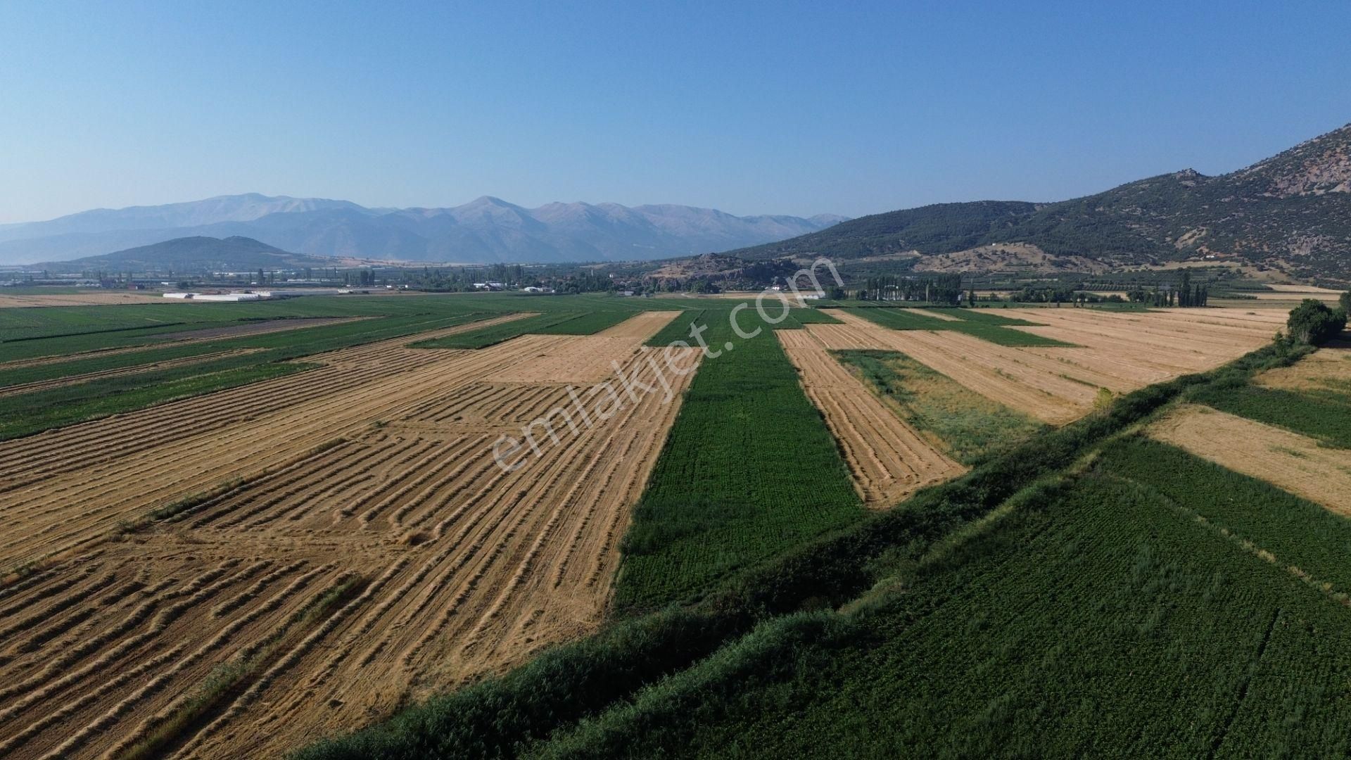 Vip Gayrimenkul'den Mursal Mah. Yol Cepheli 25.100m² Tarla - Görsel 19