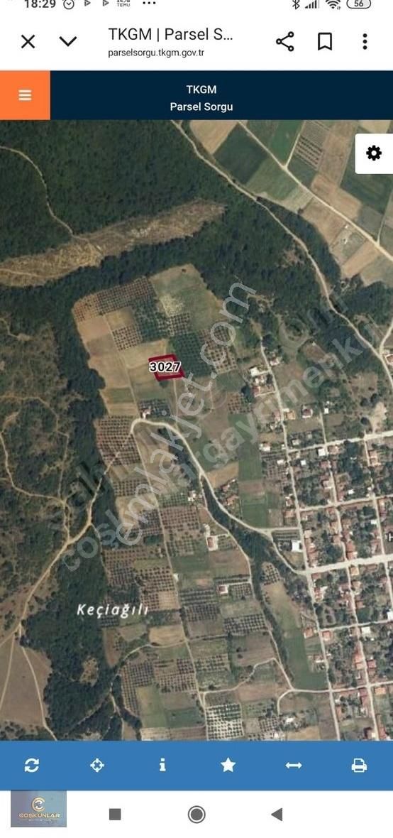 Hürriyet Köyde Bağlık Mevkiide Satılık Tarla