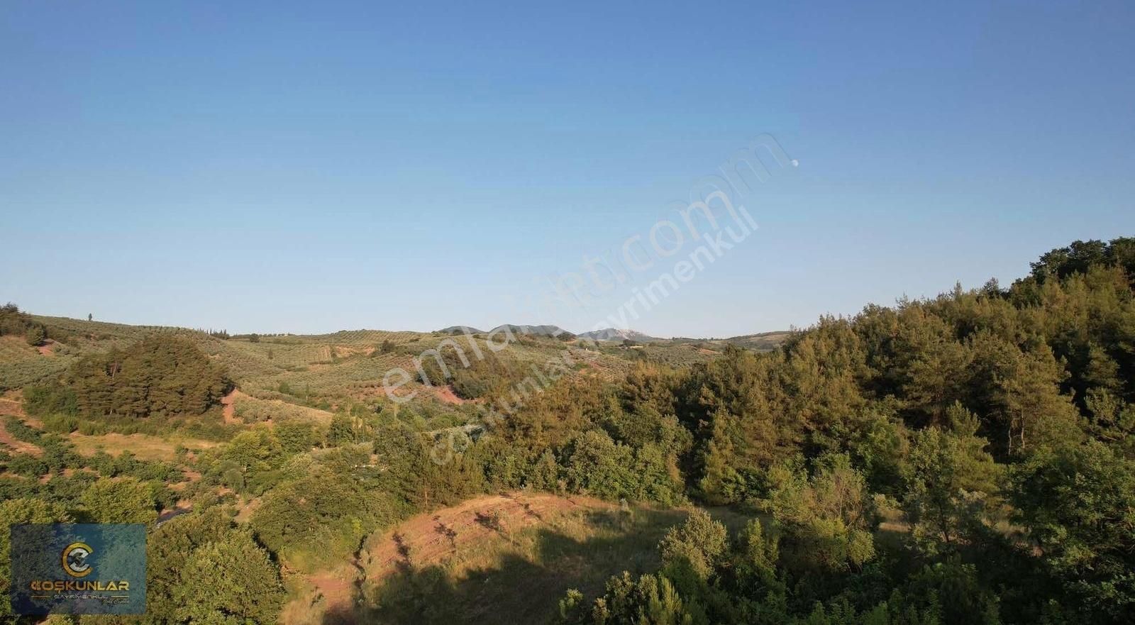 Gemlik Mesire Alanı Yanında Asfalt Yolu Olan Satılık Arazi - Görsel 2