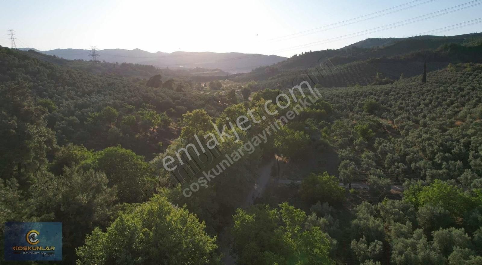 Gemlik Mesire Alanı Yanında Asfalt Yolu Olan Satılık Arazi - Görsel 6