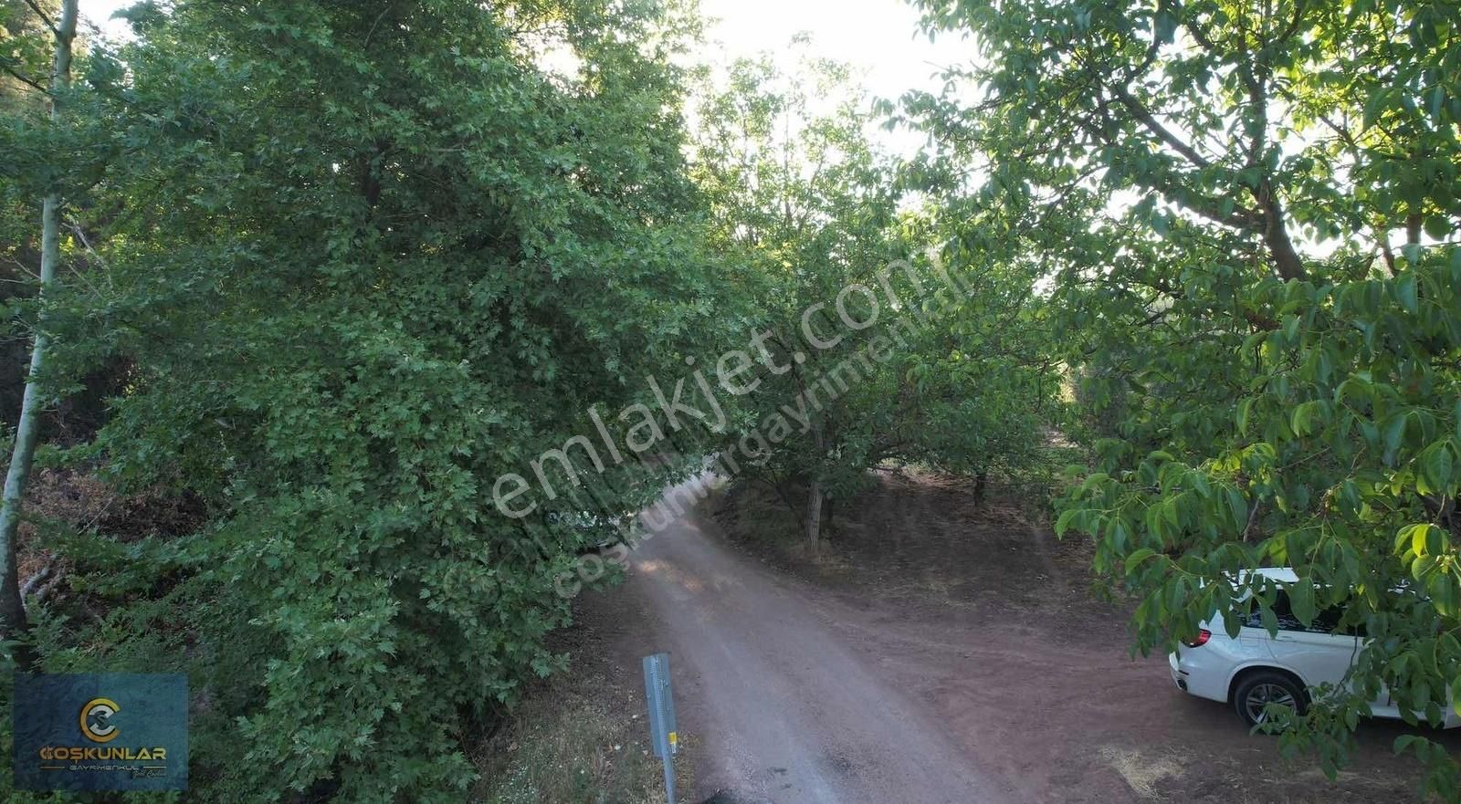 Gemlik Mesire Alanı Yanında Asfalt Yolu Olan Satılık Arazi - Görsel 7