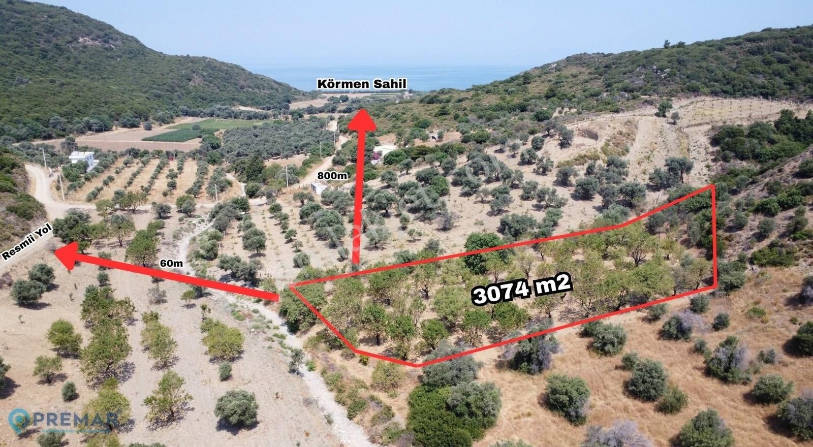 Premar Datça Karaköy Mahallesi'nde 3074m2 Satılık Bademlik