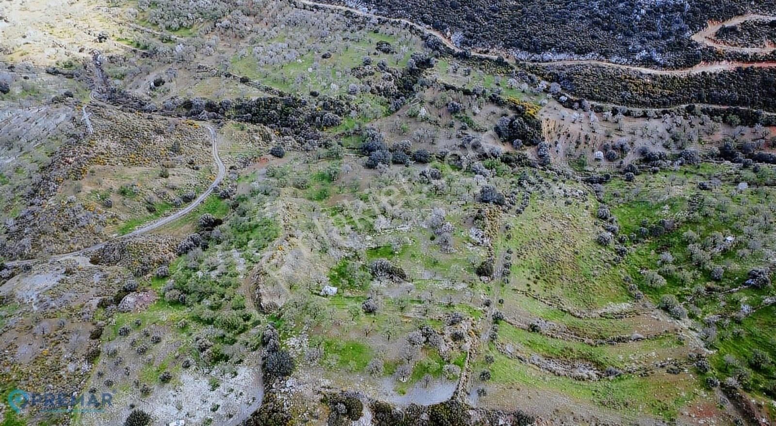 Premar Datça Karaköy Mahallesi'nde 10.000m2 Tarla - Görsel 4