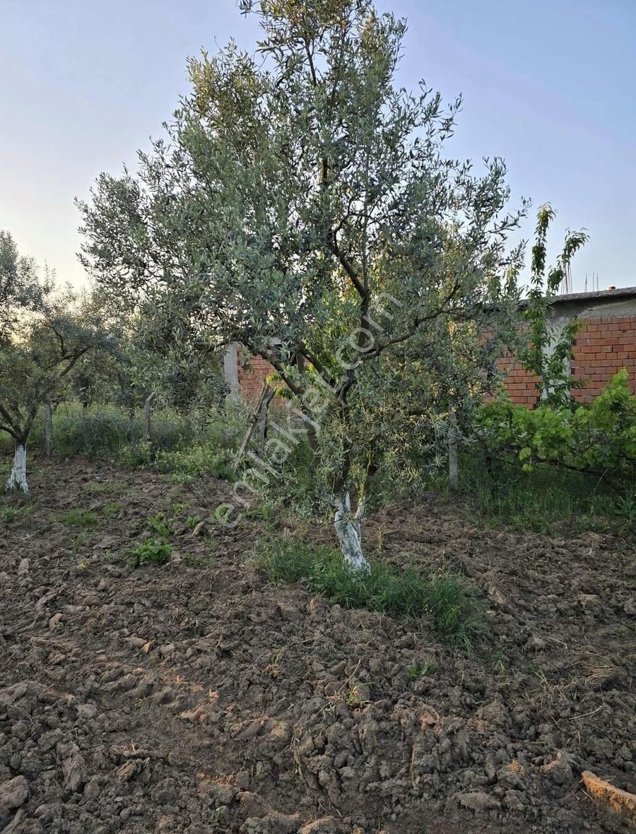 Bursa Emlak Allemm İ Satılık Hobi Bahçesi - Görsel 2