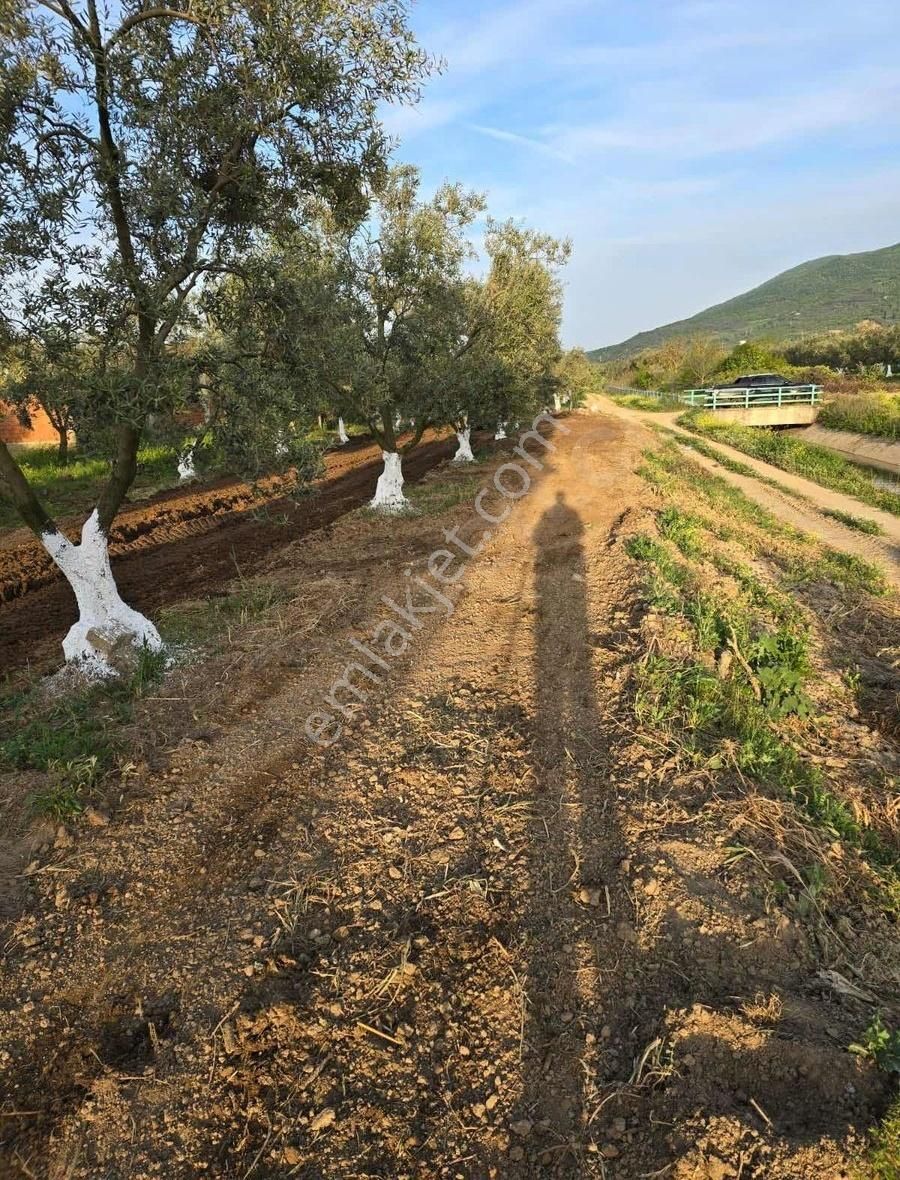 Bursa Emlak Allemm İ Satılık Hobi Bahçesi - Görsel 12