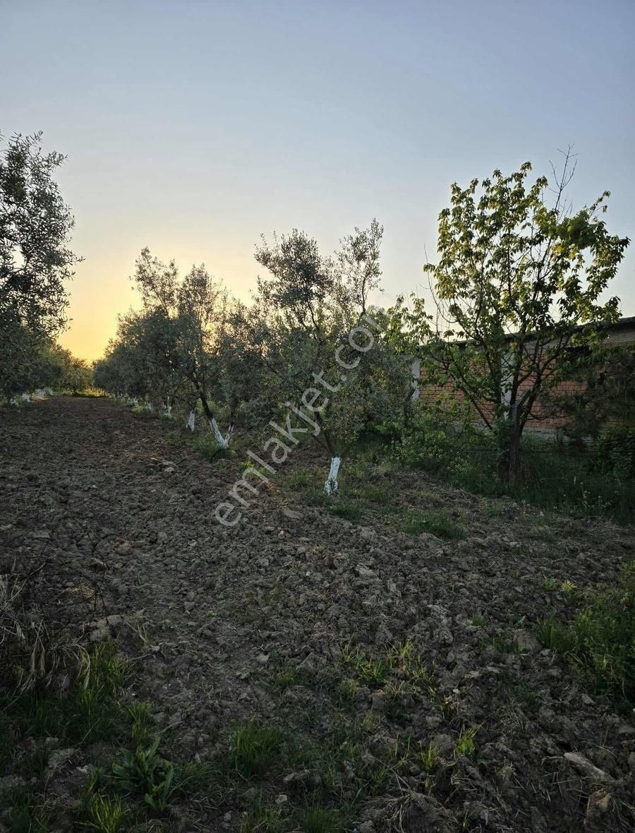 Bursa Emlak Allemm İ Satılık Hobi Bahçesi - Görsel 6
