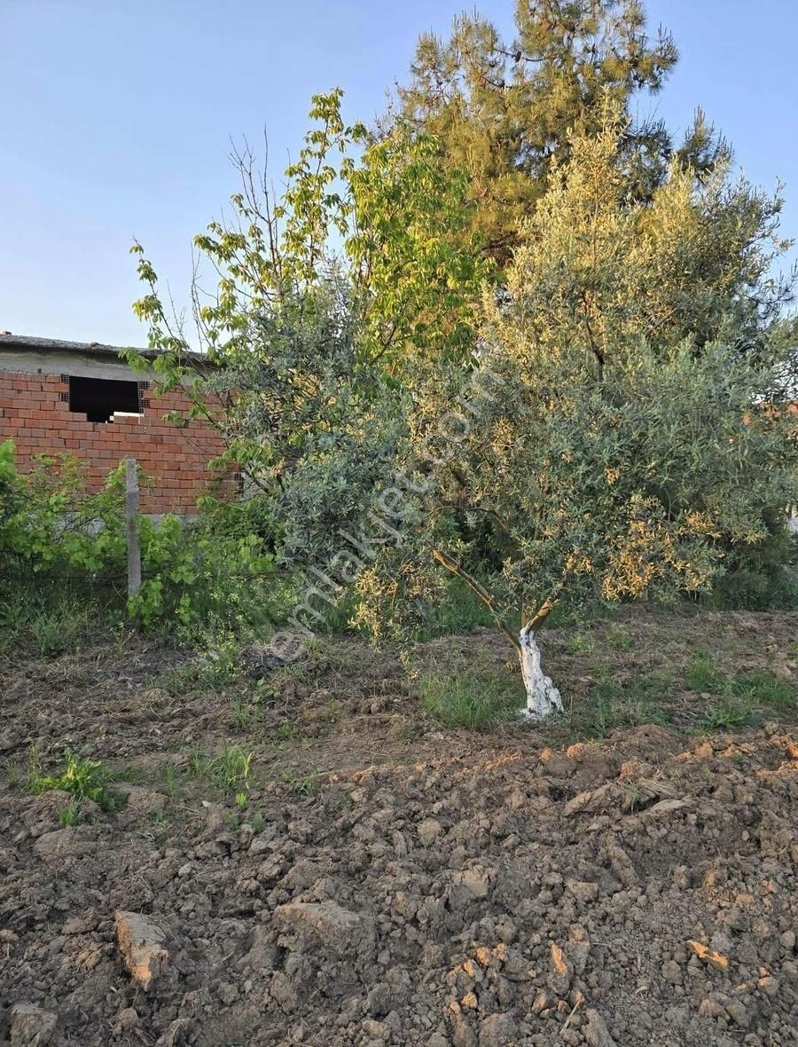 Bursa Emlak Allemm İ Satılık Hobi Bahçesi - Görsel 3