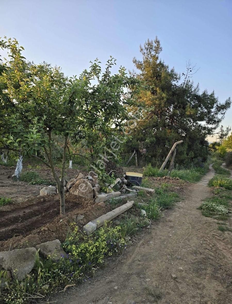 Bursa Emlak Allemm İ Satılık Hobi Bahçesi - Görsel 11