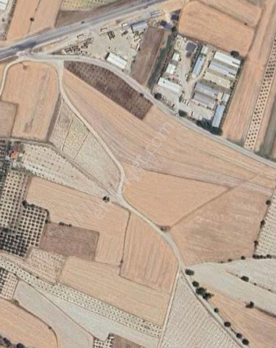 Mercan'dan Eşen'de Anayola Yakın Tek Tapu 5.940m2 Tarla