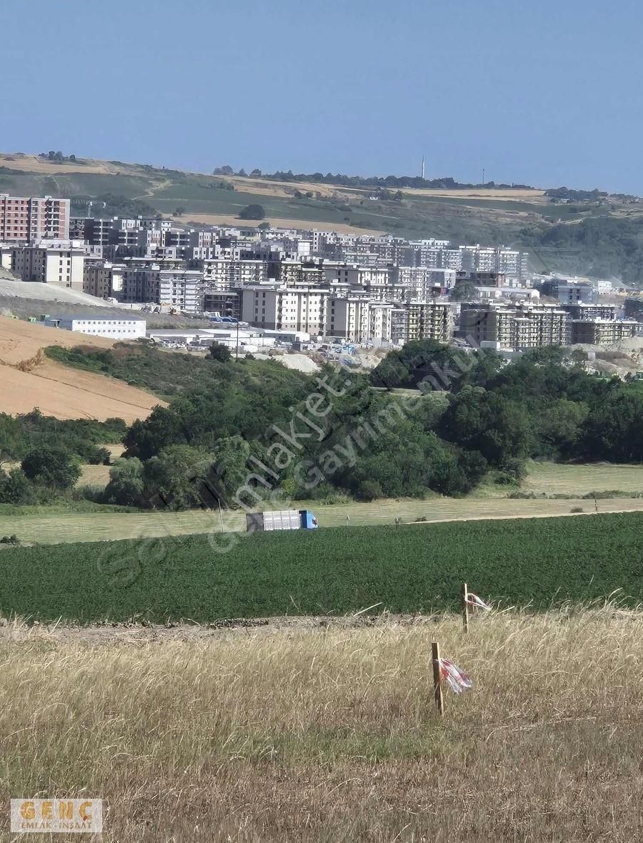 İster Yatırım İster Hobi Bahçesi Çaplı Çevrili Kullanıma Hazır - Görsel 2