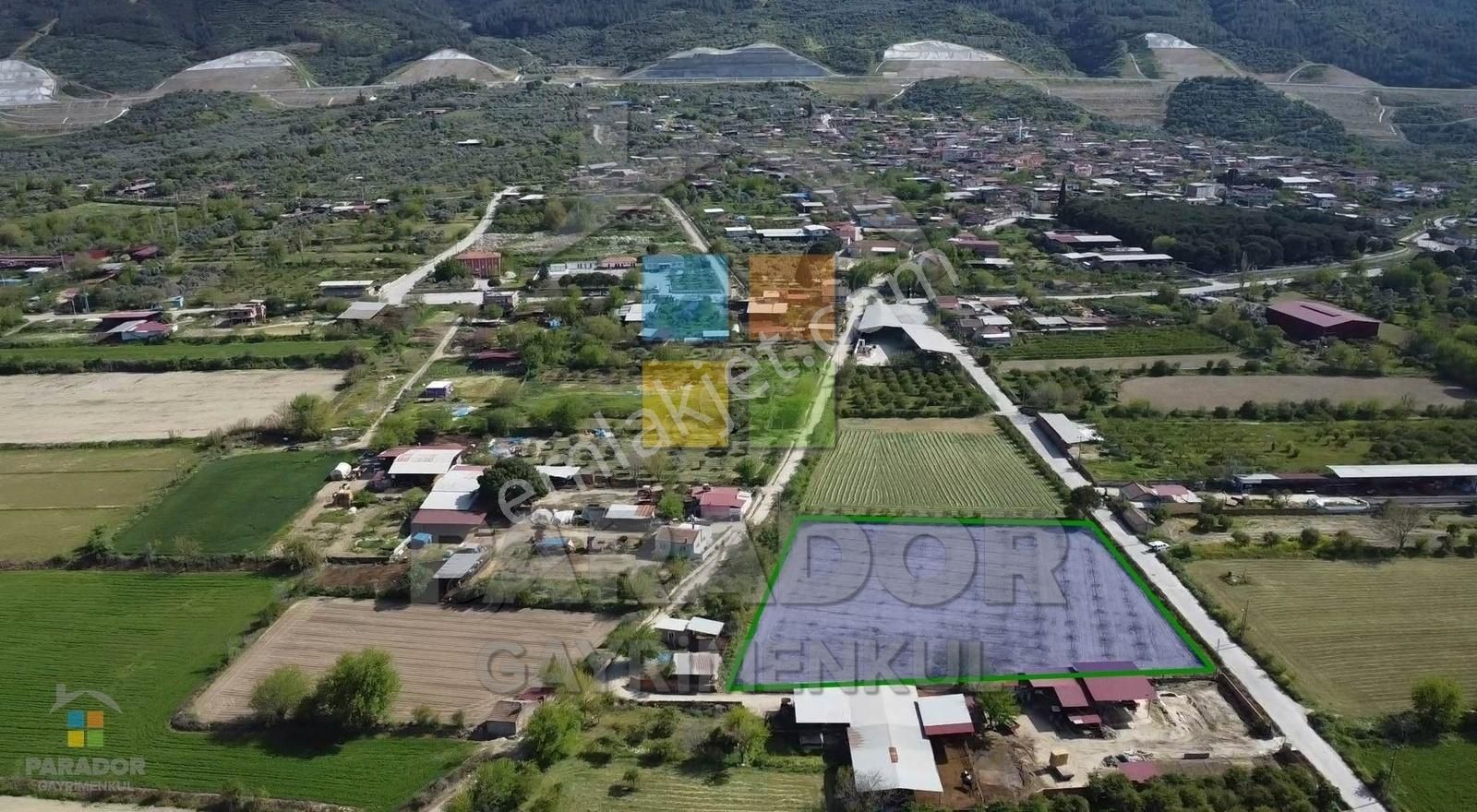Nazilli Pirlibey Cumhuriyet Mahallesinde Satılık 5200 M² Tarla