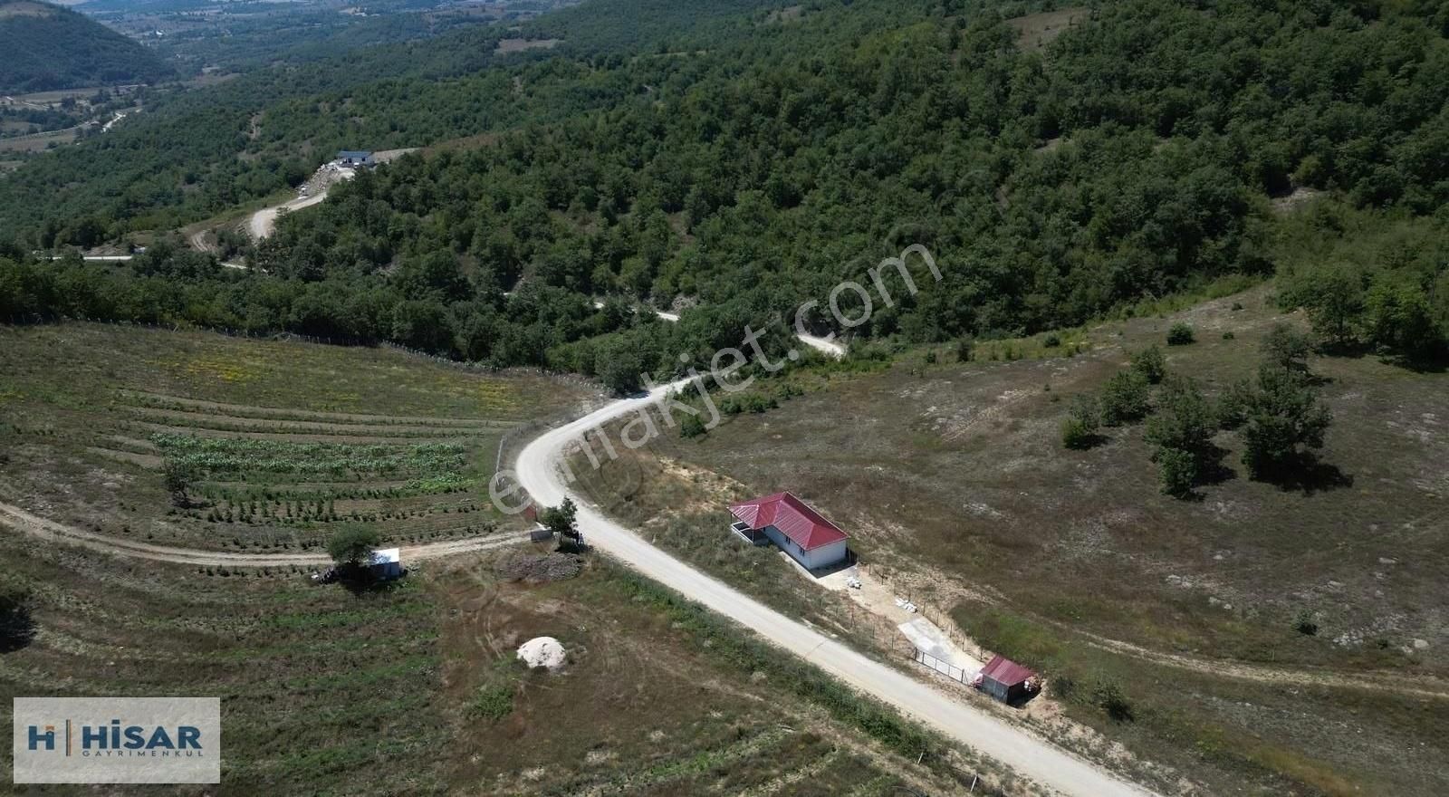 Hisar'dan Kavak Mahmutlu'da Yola Cephe Fırsat Tarlalar - Görsel 9