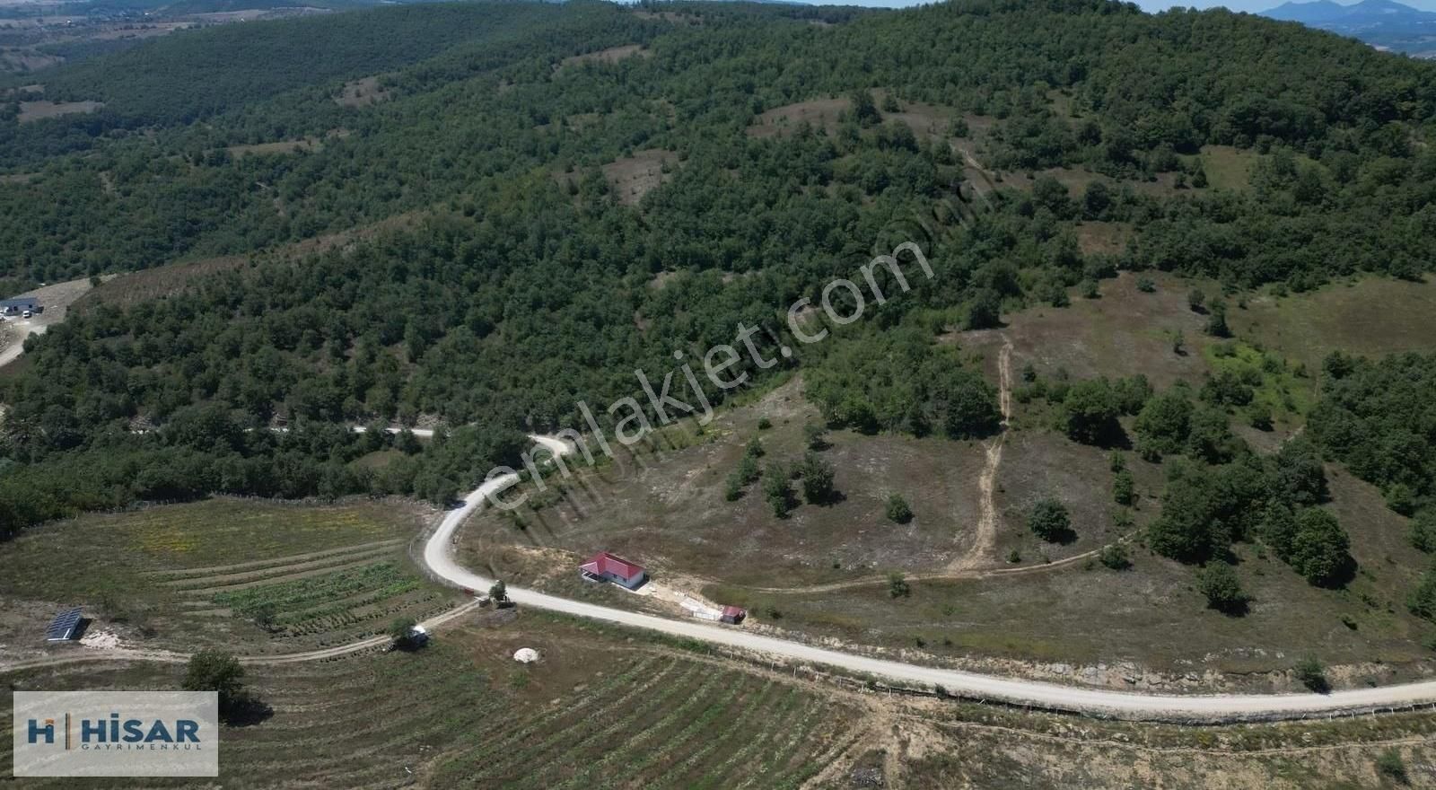 Hisar'dan Kavak Mahmutlu'da Yola Cephe Fırsat Tarlalar - Görsel 13