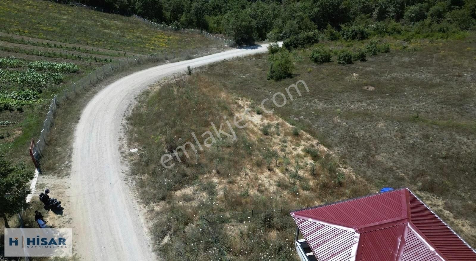 Hisar'dan Kavak Mahmutlu'da Yola Cephe Fırsat Tarlalar - Görsel 7