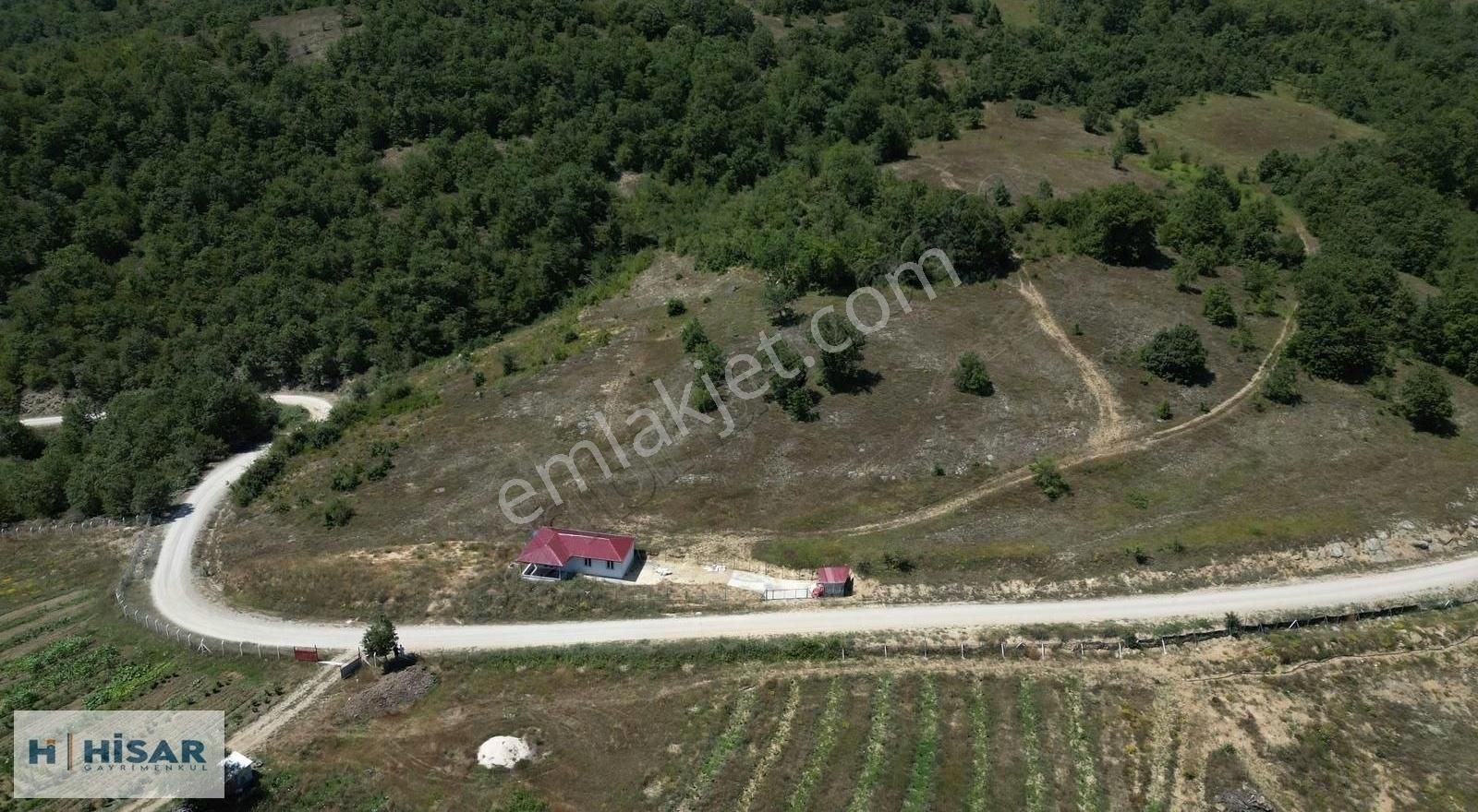 Hisar'dan Kavak Mahmutlu'da Yola Cephe Fırsat Tarlalar - Görsel 11