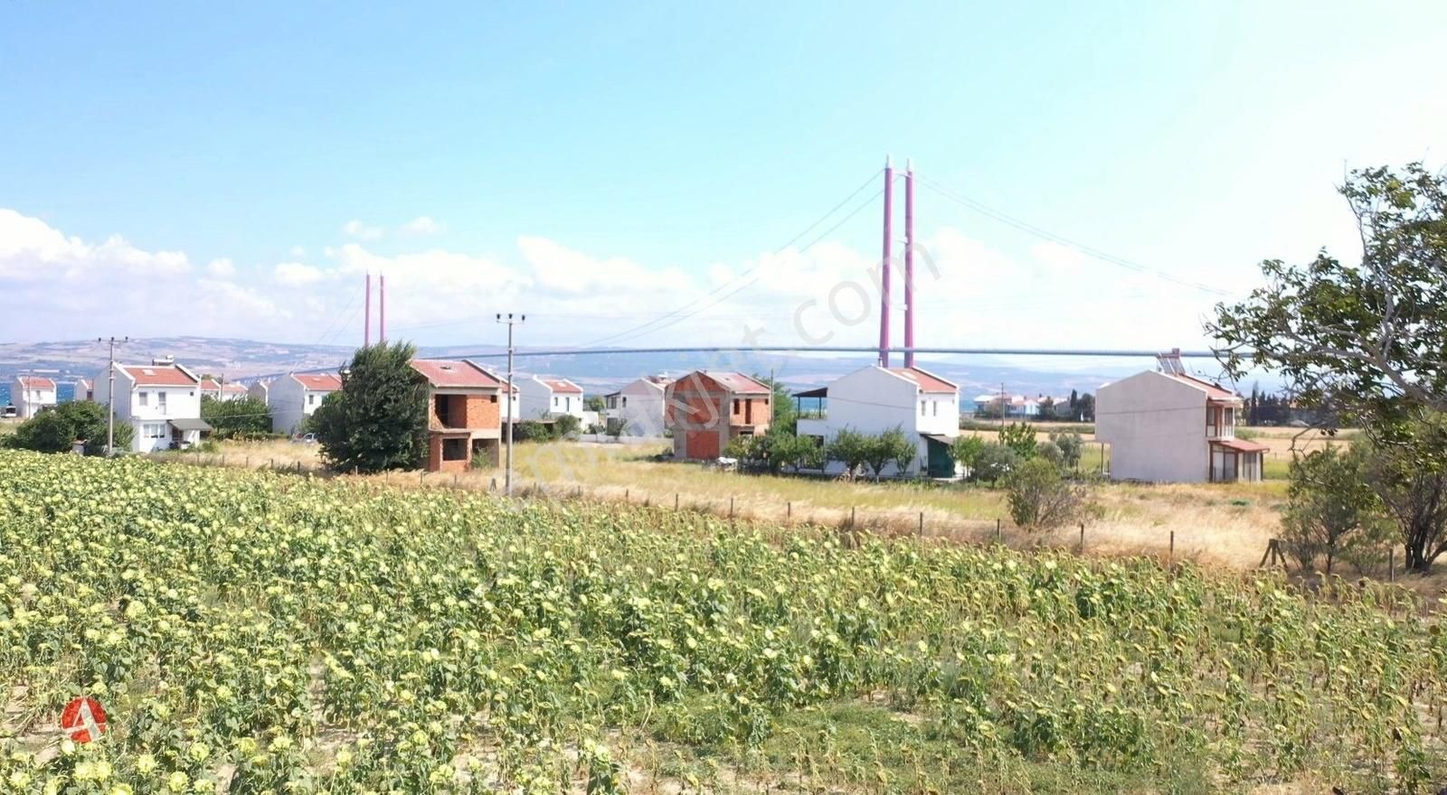 Çanakkale, Gelibolu,sütlüce, Köprü Manzaralı 565 M2, İmarlı Arsa - Görsel 3
