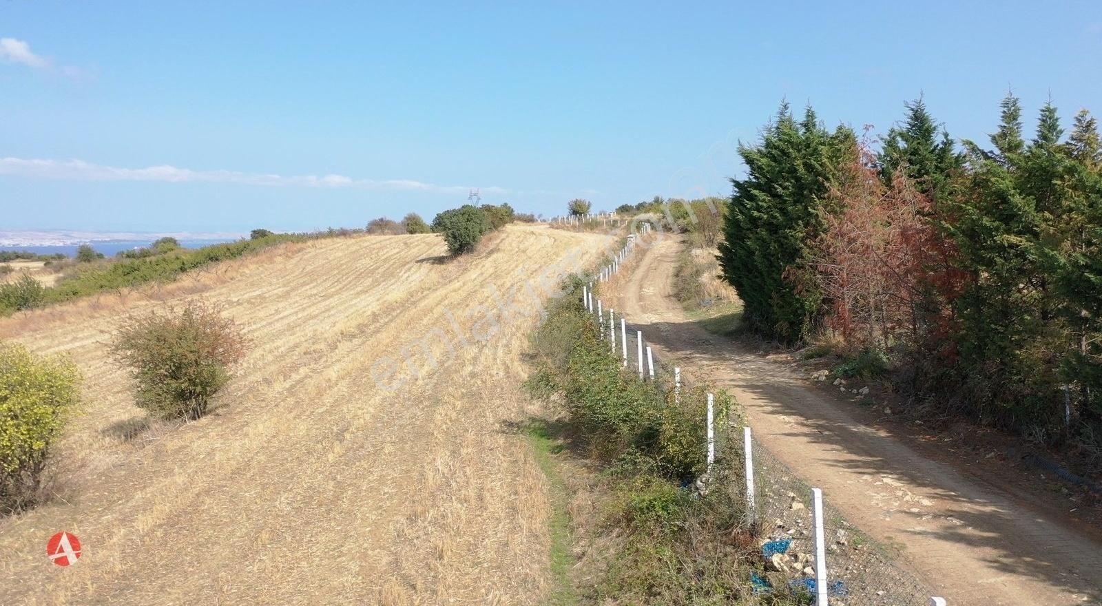 Çanakkale, Lapseki, Kocaveli, Panaromik Boğaz Manzaralı Arazi - Görsel 9
