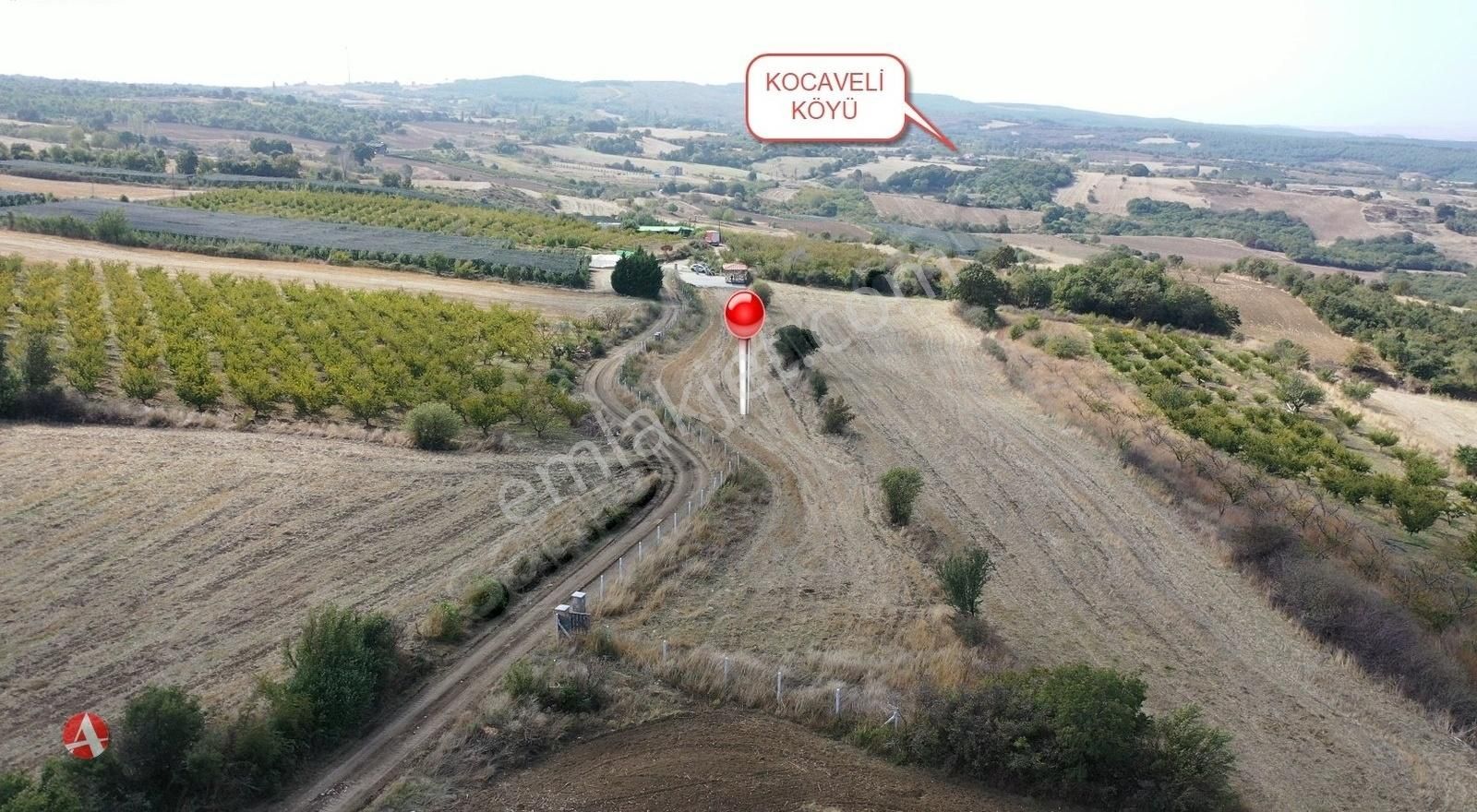 Çanakkale, Lapseki, Kocaveli, Panaromik Boğaz Manzaralı Arazi - Görsel 12