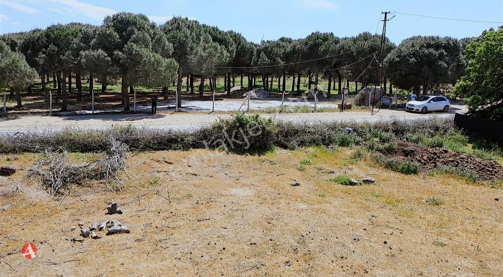 Çanakkle,ezine,yavaşlar,asfalt Cephe,köy Girişi İmarlı Köşe Arsa - Görsel 5