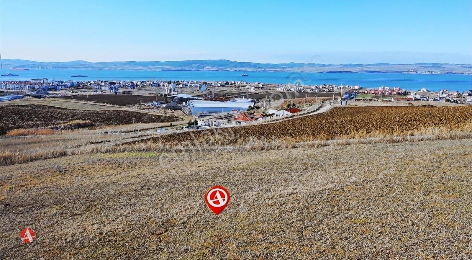 Çanakkale, Lpseki, Çardak, Muhteşem Boğaz Manzaralı Satılık Arsa - Görsel 5