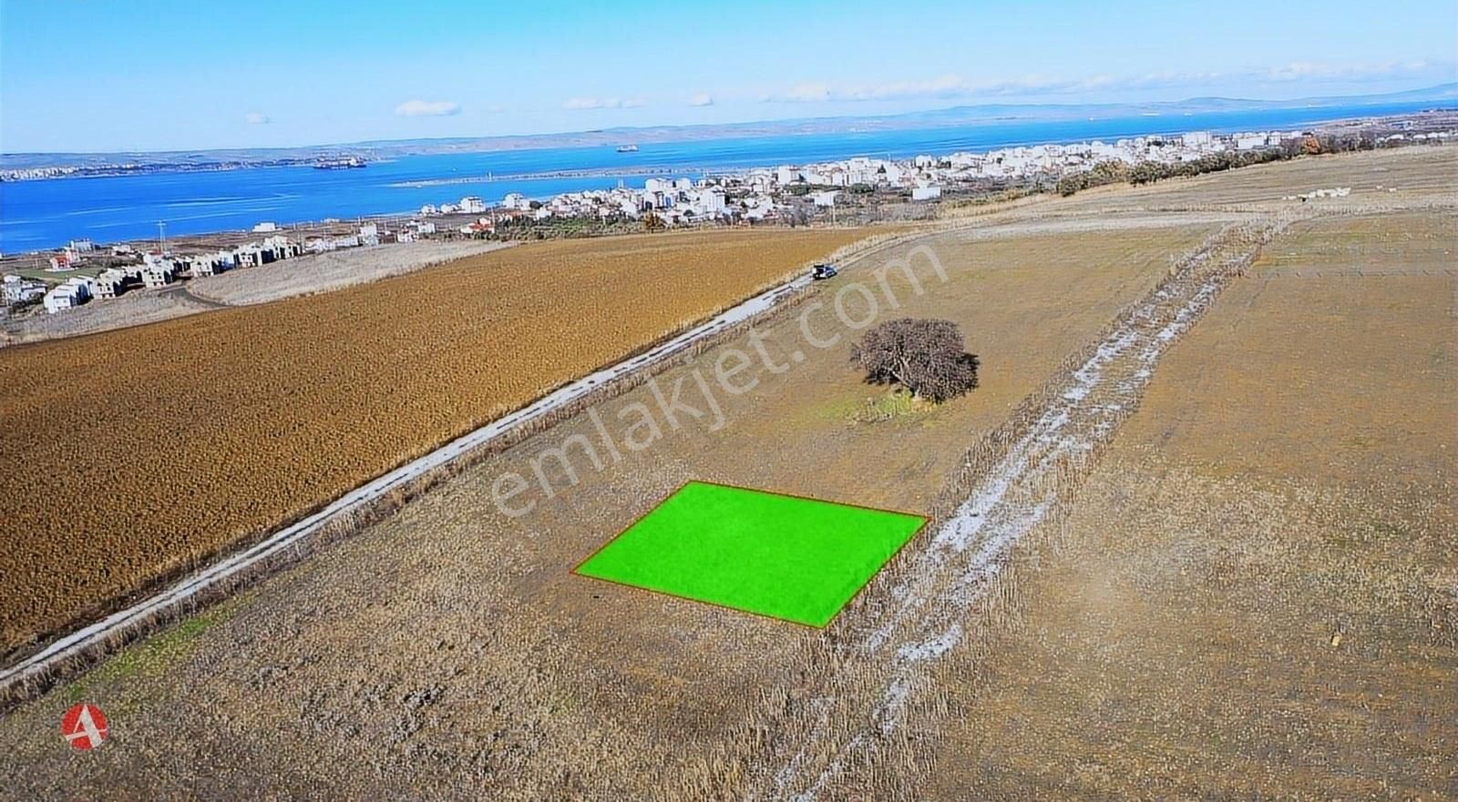 Çanakkale, Lpseki, Çardak, Muhteşem Boğaz Manzaralı Satılık Arsa - Görsel 2