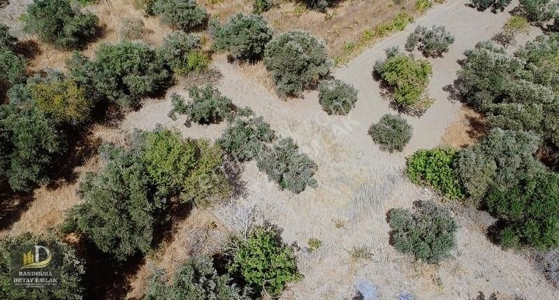 Detay'dan Aksakal Mh. 328m² Hobi Bahçesine Uygun Bağ ! - Görsel 8