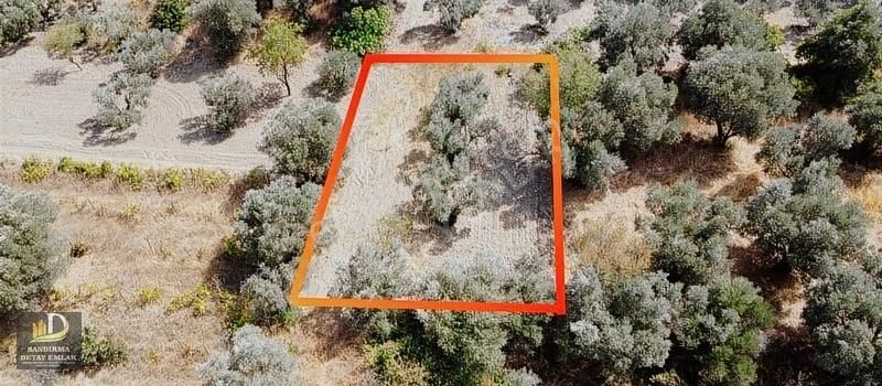 Detay'dan Aksakal Mh. 328m² Hobi Bahçesine Uygun Bağ ! - Görsel 2