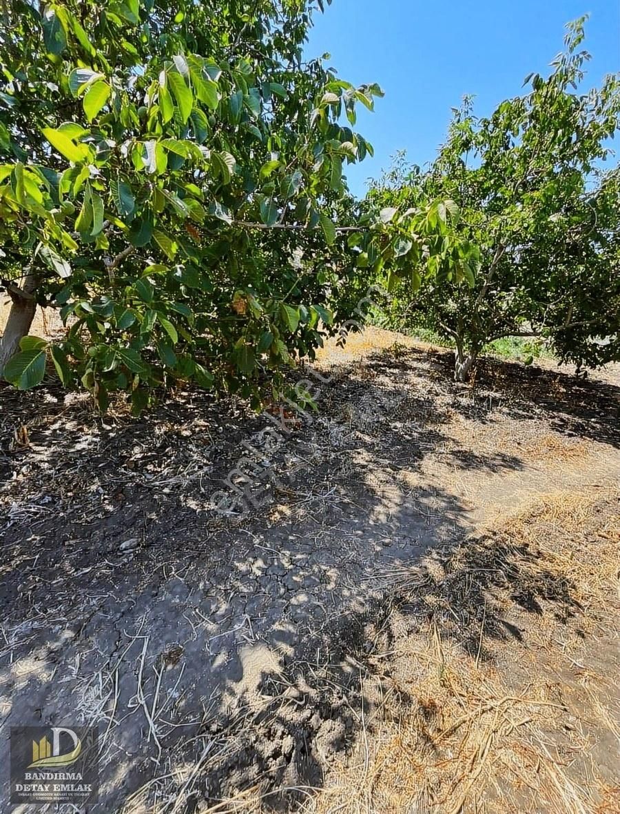 Detay'dan Musakça Mh. 2000m² Deniz Manzaralı Yatırım Fırsatı! - Görsel 5