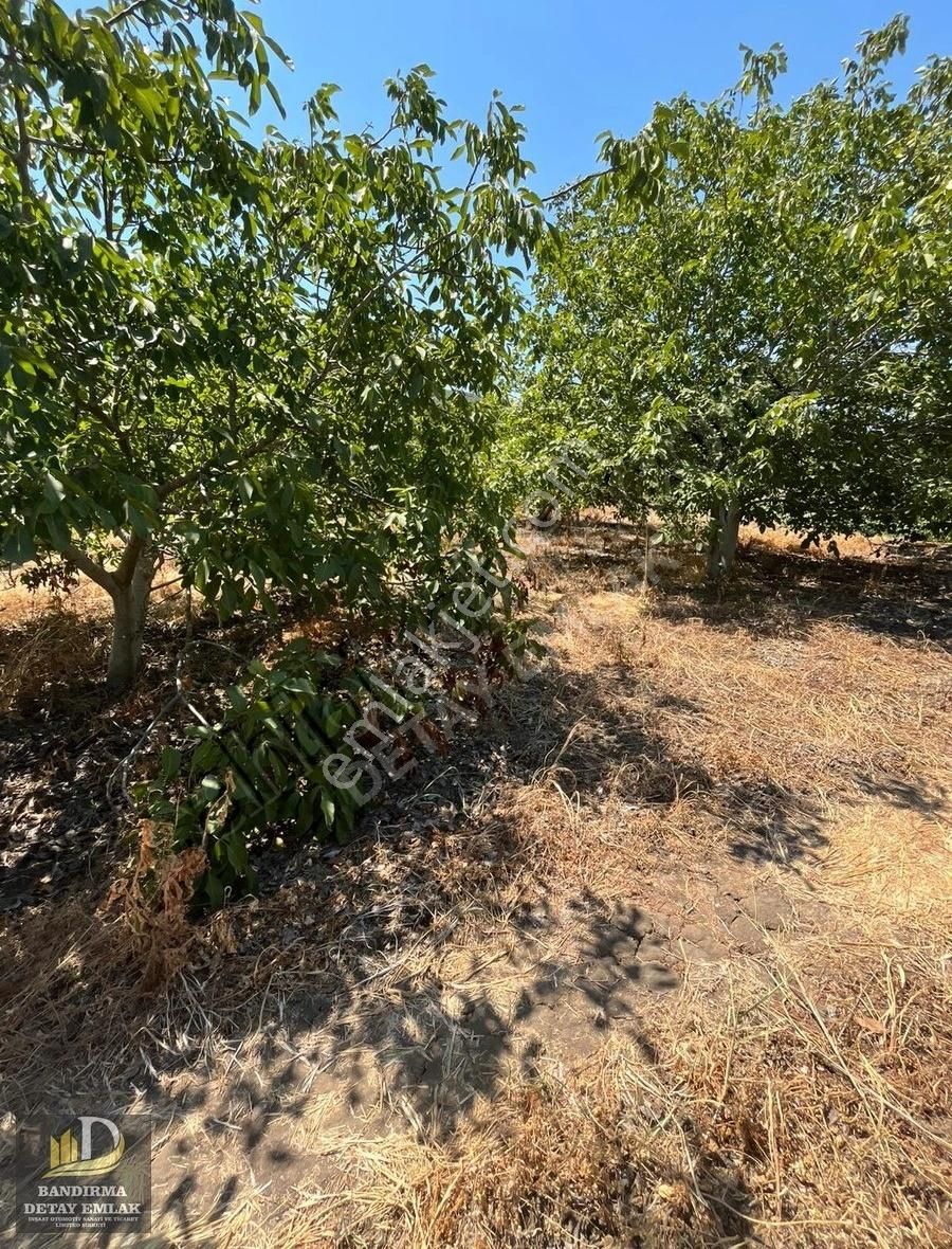 Detay'dan Musakça Mh. 2000m² Deniz Manzaralı Yatırım Fırsatı! - Görsel 3