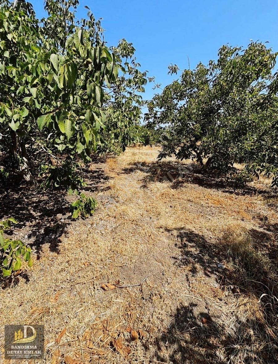 Detay'dan Musakça Mh. 2000m² Deniz Manzaralı Yatırım Fırsatı! - Görsel 4