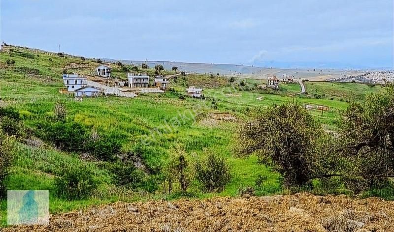 Tekirdağ Şarköy De Denize Çok Yakın 494 M2 Villa İmarlı Arsa